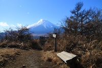 大平山・ハリモミハイキングコース